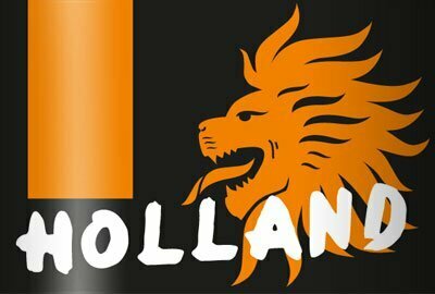 WK vlag - Afbeelding 4
