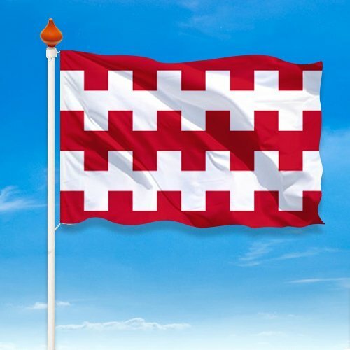 Vlag Dongen