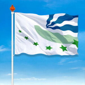 Vlag Drimmelen