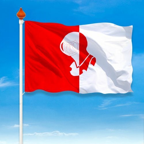 Vlag Helmond - Afbeelding 2