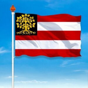 Vlag 's-Hertogenbosch