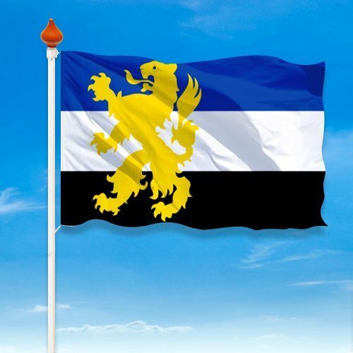 Vlag Hilvarenbeek - Afbeelding 2