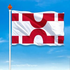 Vlag Losser