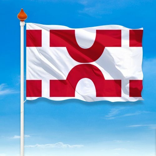 Vlag Losser