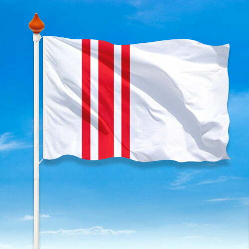 Vlag Oisterwijk