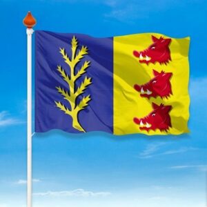 Vlag Rijssen-Holten