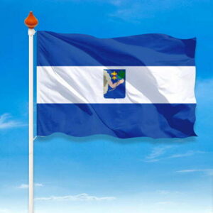 Vlag Veendam
