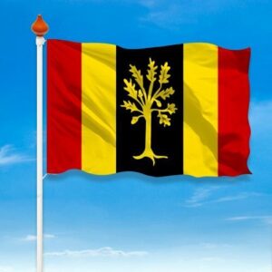 Vlag Waalwijk