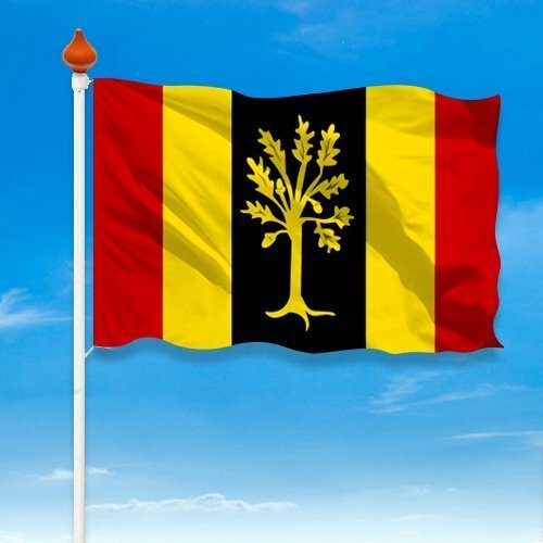 Vlag Waalwijk