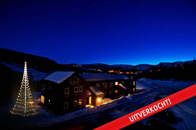 Vlaggenmast Kerstverlichting 600 LED 3D Warmwit - Afbeelding 6