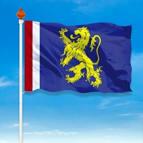 vlag gemeente leeuwarden