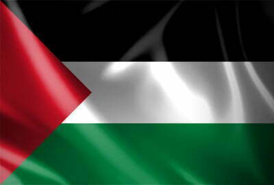 Vlag Palestina - Afbeelding 2