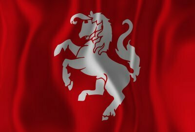 Vlag Twentse Ros - Afbeelding 2