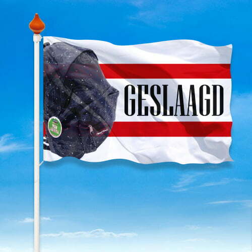 Geslaagd vlag provincie - Afbeelding 17