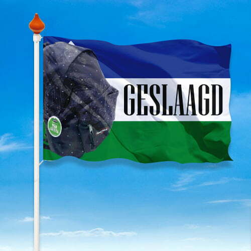 Geslaagd vlag provincie - Afbeelding 18