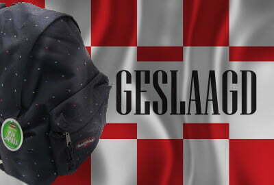 Geslaagd vlag provincie - Afbeelding 15