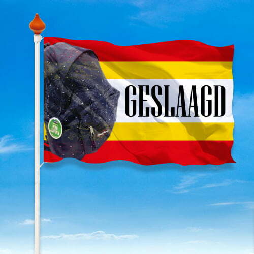 Geslaagd vlag provincie - Afbeelding 25