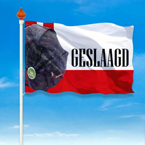 Geslaagd vlag provincie - Afbeelding 10