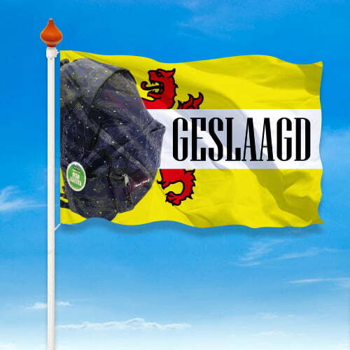 Geslaagd vlag provincie - Afbeelding 12