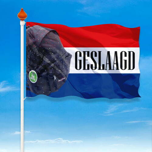 Geslaagd vlag provincie - Afbeelding 16