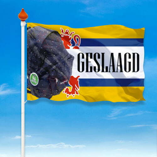 Geslaagd vlag provincie - Afbeelding 6