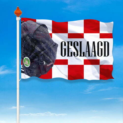 Geslaagd vlag provincie - Afbeelding 7