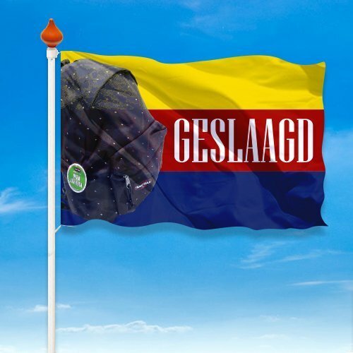 Geslaagd vlag provincie - Afbeelding 8